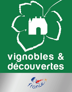 vignoble et découverte